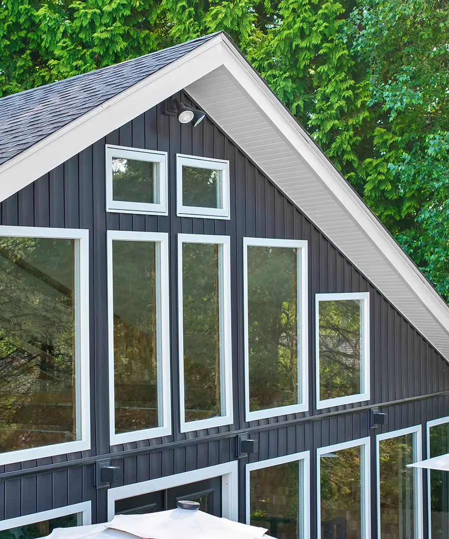 new windows on home